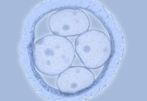 国内供卵代生产的医院, 试管婴儿检查流程步骤 试管婴儿检查流程多长时间