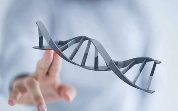 国内有没有供卵试管的医院,大龄女性如何做到优*优育(大龄女性做试管婴儿可以优*优育吗)