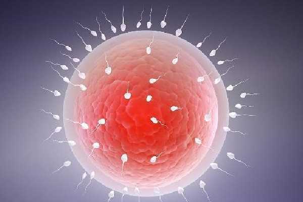 国内供卵最好的医院是哪家,做3代试管可以提前在家取精冷冻后再送医院吗？