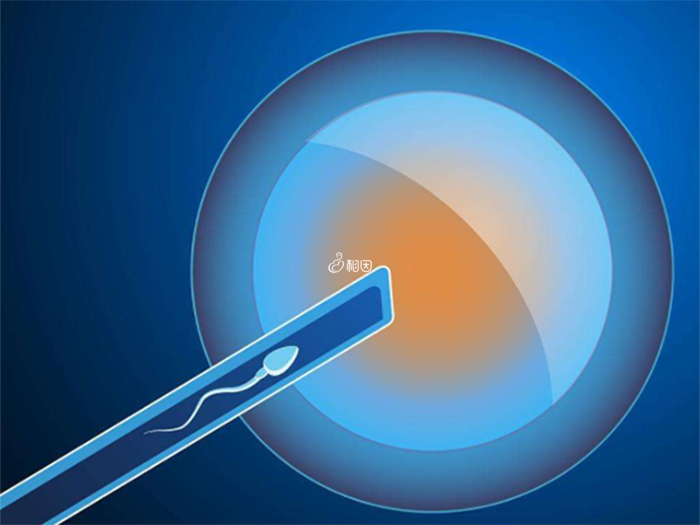 国内哪里能够供卵,第三胎想要儿子可以去医院做试管,但要满足三大条件