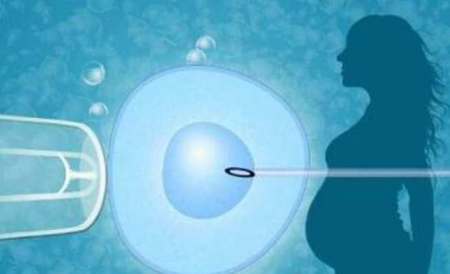 国内哪里有供卵库医院的,三代试管***医院费用详解，这笔账一算便知！