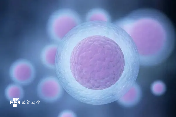 国内代孕试管中介,40岁了做三代试管婴儿**能不能一次*？