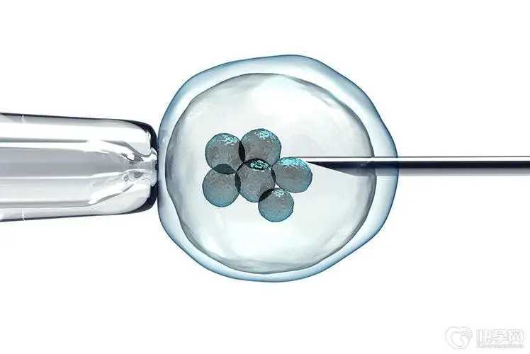 国内供卵网,不是夫妻没有结婚证在私人医院可以做试管吗