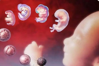 国内供卵助孕医院排名榜,长老教会医院：20000名患者*率达70%