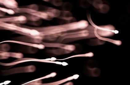 国内第三代生子机构,美国第四代试管婴儿总费用(过程看完没那么神秘)