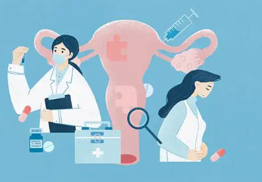 国内供卵试管公司有哪些,囊胚D5的3ac囊胚质量怎么样,能移植*吗