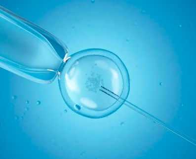 国内供卵要等多久才能移植,做试管婴儿过程步骤怎样 做试管婴儿有哪些具体流程