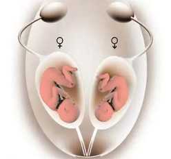 国内供卵代怀中心,梅毒抗体阴性偏高,提升并无感染,临床诊断需病史|症状