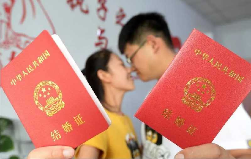 国内供卵试管婴儿医院有哪些,婚后2年没怀孕成功，在平顶山哪里能做试管婴儿？