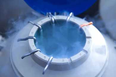 国内供卵中介费用多少钱,孕妇梦见被蛇追未必是件坏事!看完解读你就明白了