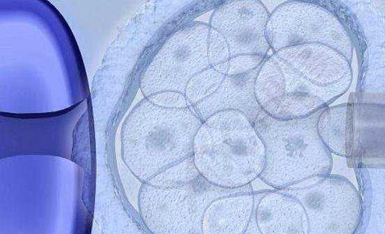 国内代怀产子费用,走进中信湘雅精子库，3分钟了解精子的来源！