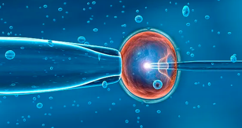 国内比较好的代孕,辟谣!一胎眉毛并不能看二胎性别,科学检测只有这五种