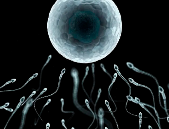 国内供卵代要多久,夜针前可不可以到处逛街看这，慢慢溜达影响不大别瞎担心