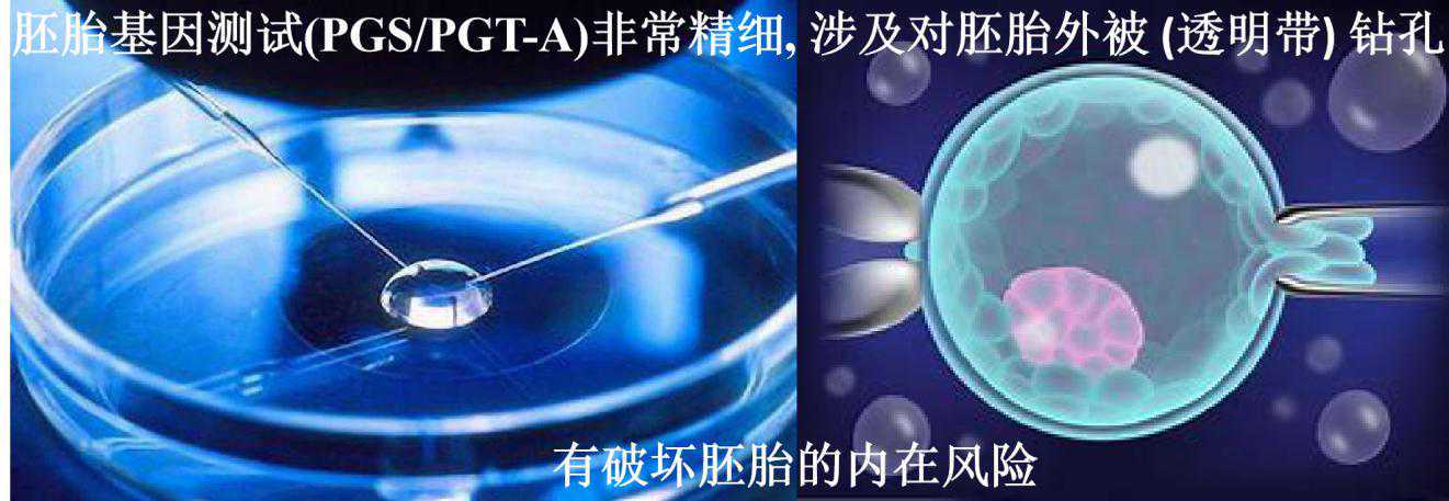 国内代怀生殖中心,2026山东三胎政策最新消息来了，奖励20万可真别信