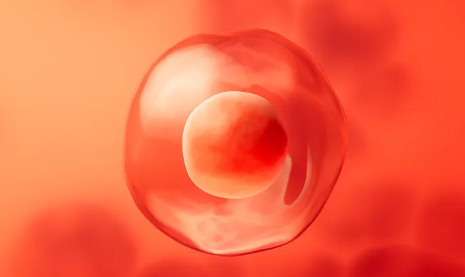 国内最好的私人供卵机构排名,为什么入盆了还会头盆不称？