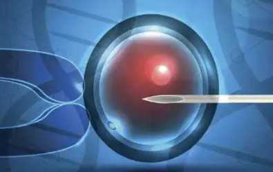 哪里能找到供卵的人,2026四川省妇幼保健医院试管助孕医*排名