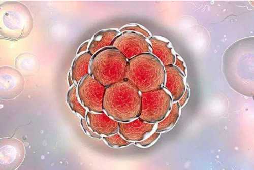 中国哪些医院可以供卵,冻干精子库在哪里，受捐家庭排队一年