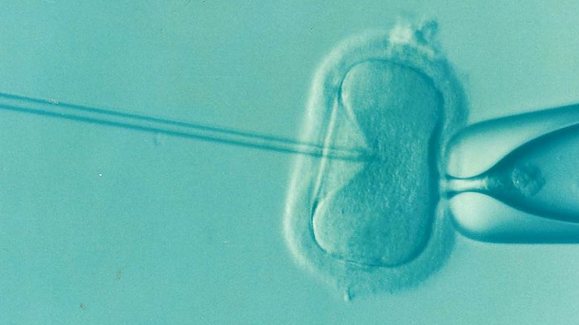 国内供卵机构有哪些地方,轮状病毒疫苗接种后，家长需注意这些不良反应
