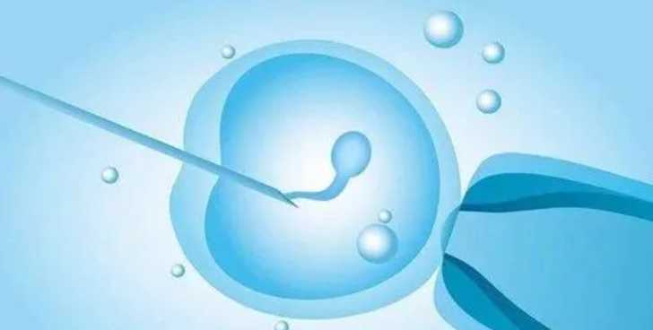 国内供卵公司名单,盘点血友病携带者做第三代试管生孩子是否健康，附成功率分享