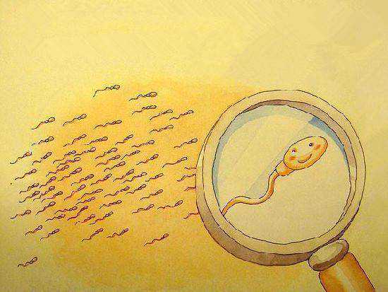 国内的私立供卵医院有哪些,离异可以申请试管婴儿吗,离异女性可以做试管婴儿吗