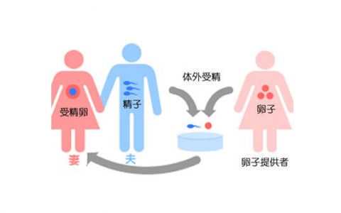 国内供卵哪家好排名,做试管不想要老公精子,可以用别人的囊胚做试管吗