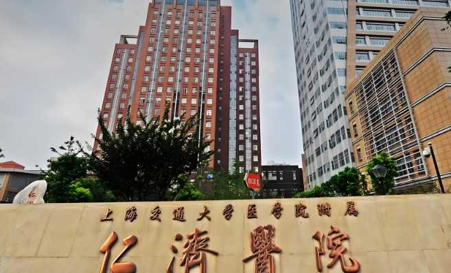 中国捐卵试管,试管转化什么意思,试管移植前内膜转化是什么意思