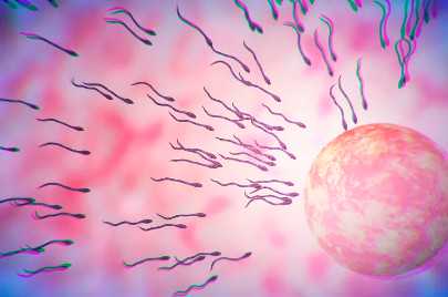 国内供卵代怀公司咨询,hpv男性感染后会自愈吗？男性感染hpv需要治疗吗？