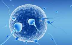 国内有供卵生殖中心,试管婴儿取卵后腹水的症状及处理