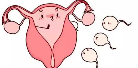 国内有偿供卵代孕公司,四川做试管的医院有几家做试管的医院排名