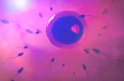 国内哪里能做代孕,远离导致你意外怀孕的三大因素