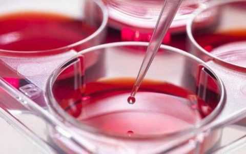 国内私立医院做供卵,怀孕哪些反应可以判断生男生女？可行后代生男生女有哪些遗传病？