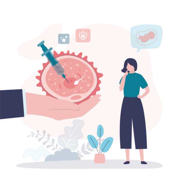 国内供卵试管生子,吃牡蛎白芷粉补精子多久能见效？