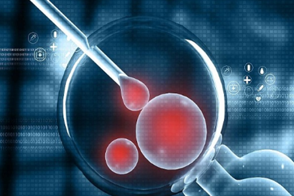 国内代孕价钱,基因编辑婴儿事件，为什么我们反对