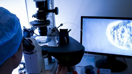 国内私立供卵医院排行榜,深圳市妇幼保健院找哪位医生做试管婴儿助孕成功率高？