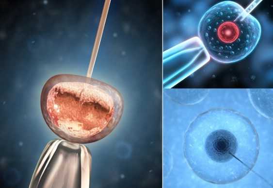 国内哪里可以排队供卵的,试管婴儿做完后有什么检查 试管婴儿检查做完了!接下来要怎么做