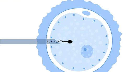 国内正规供卵医院排名,福州三代试管条件正规医院盘点，2026比较新助孕机构推荐选择
